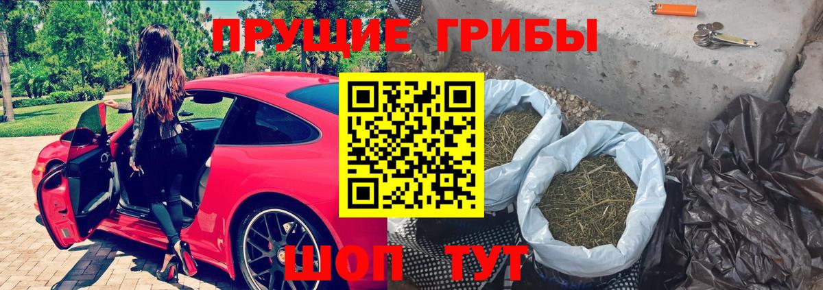 Псилоцибиновые грибы Psilocybine cubensis  Галлюциногенные грибы MAGIC MUSHROOMS  Аша  как найти наркотики  Вход с VPN 